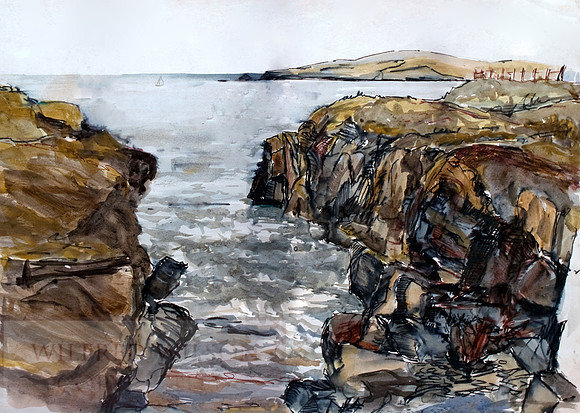 #52 Morgans Cove Gwbert Bay of Pigs