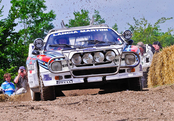 Goodwood FOS #-4794
