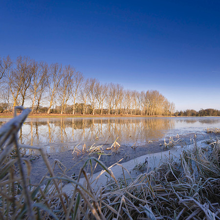 Mockbridge  Sussex Winter views