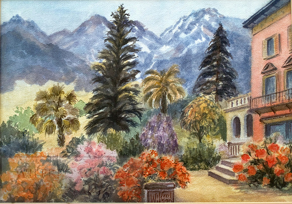 Garden in the South of France