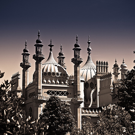 Pavilion Custom Prints --3