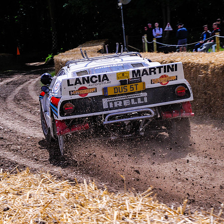 Goodwood FOS #-4808