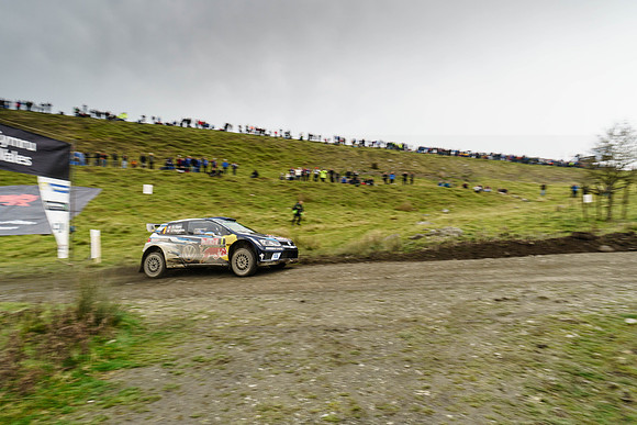 WRC_OCT 2016-6243