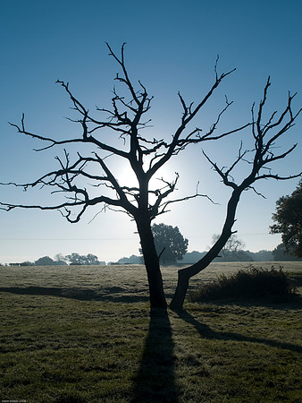 RWCS_Sussex selection -190600