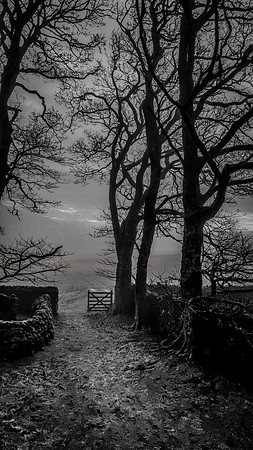 COWSIDE FARMHOUSE ENTRANCE