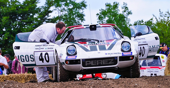 Goodwood FOS #-4647