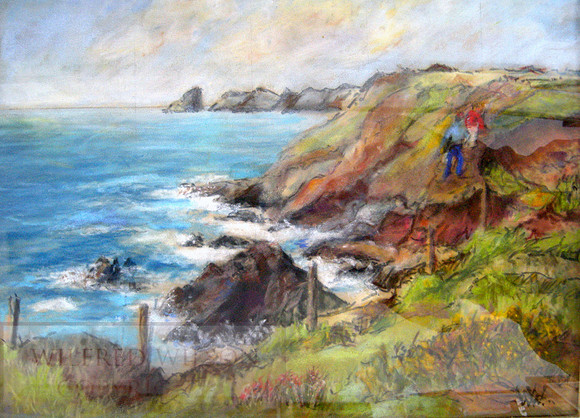 Cardigan Island Coastal Path