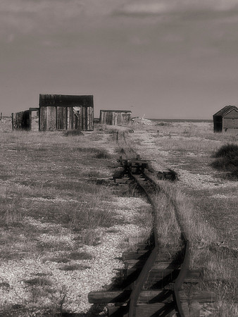 Dungeness
