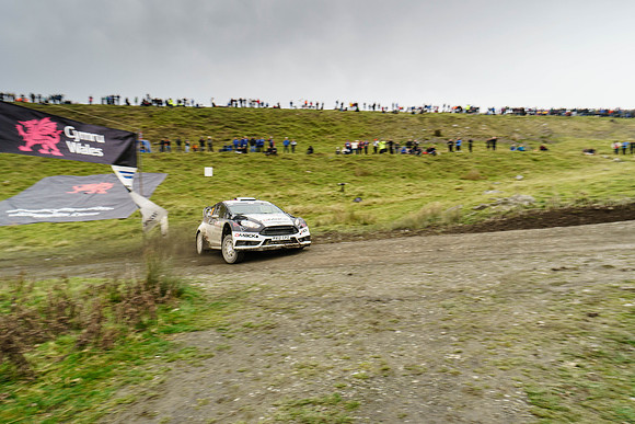 WRC_OCT 2016-6226
