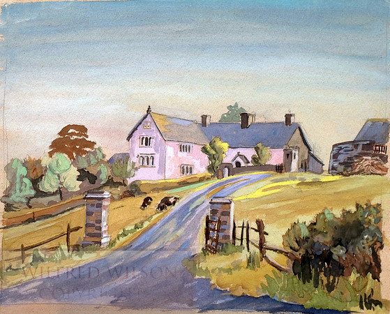 Pink house