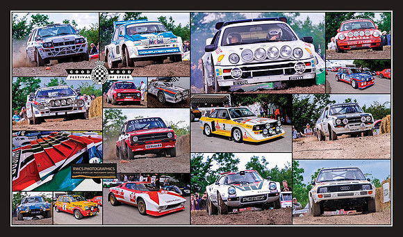 Goodwood 2012 Montage _rally