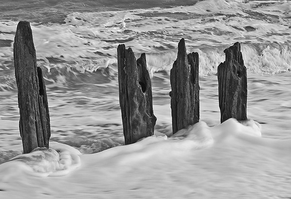RWCS-128.jpg