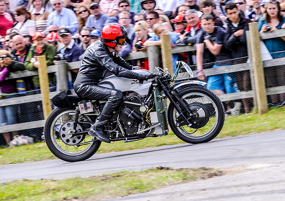 Goodwood FOS #-5199