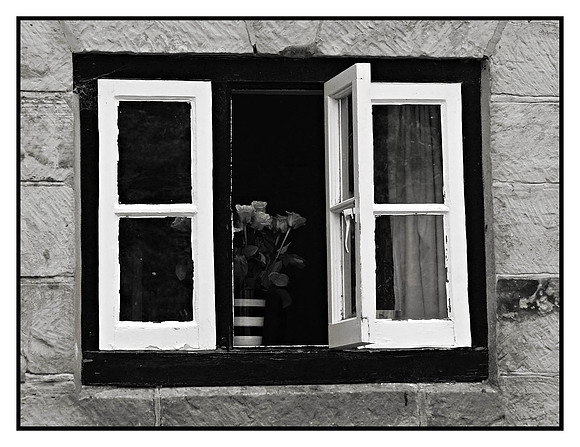 P8062180_bw_border