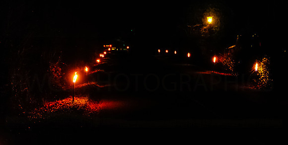 Lambs_december_torches-1509