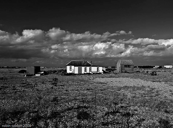 RWCS_Sussex selection -2