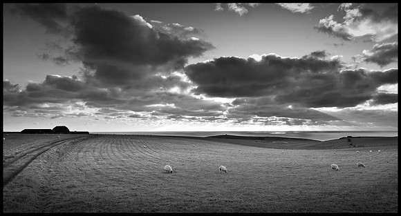 Autumn & Winter views Downs Winter--5