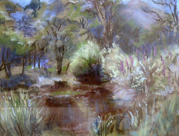 #79 Pond with foxgloves
