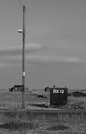RWCS-54.jpg