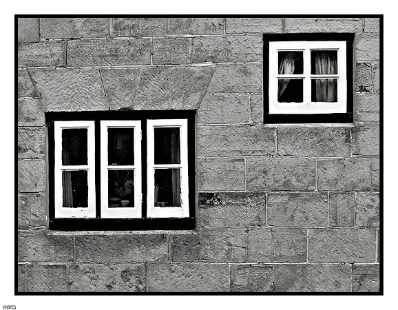 RWCS_Sussex selection -2