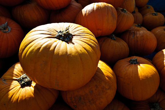 RWCS_pumpkins 2009-1
