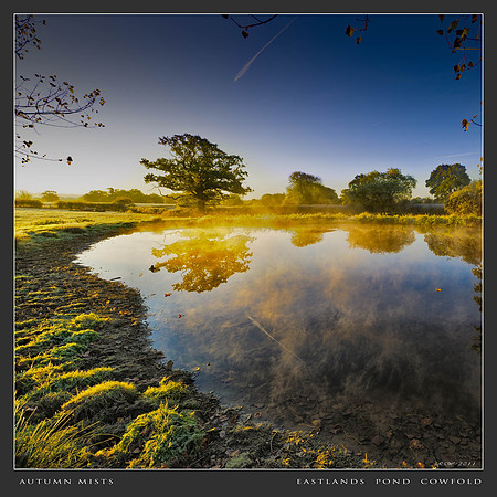 Autumn & Winter--2