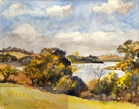 #86 the Dart Estuary