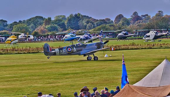 spitfires -9981
