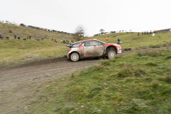 WRC_OCT 2016-6173
