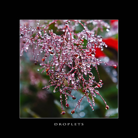 water droplets