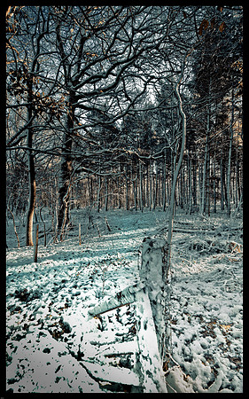 RWCS_Sussex selection_-2