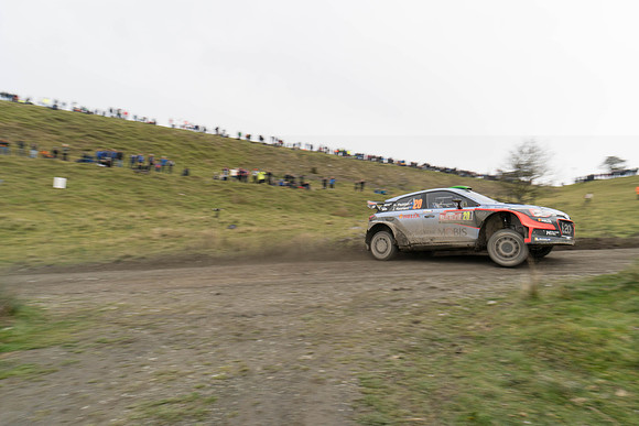 WRC_OCT 2016-6188