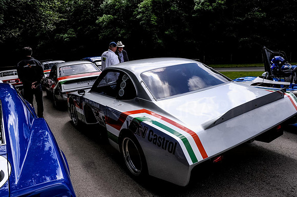 Goodwood FOS #-5116