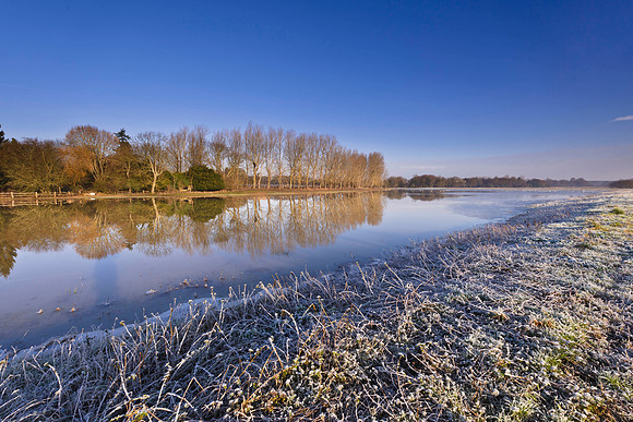 Mockbridge  Sussex Winter views