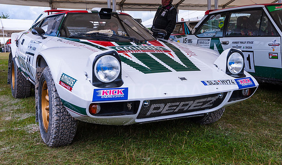Goodwood FOS #-9391