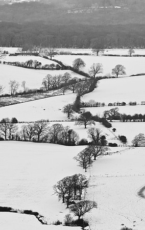Sussex Downs under Snow