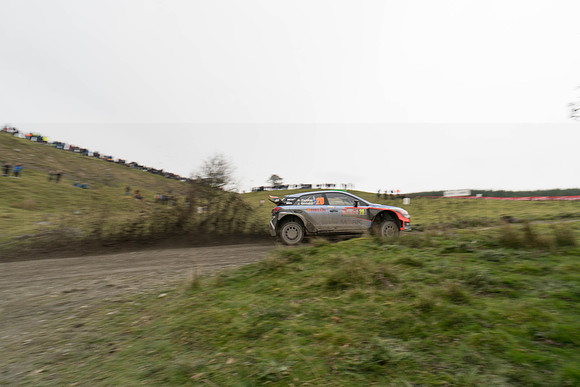WRC_OCT 2016-6191