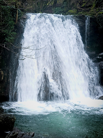 JANETS FOSS