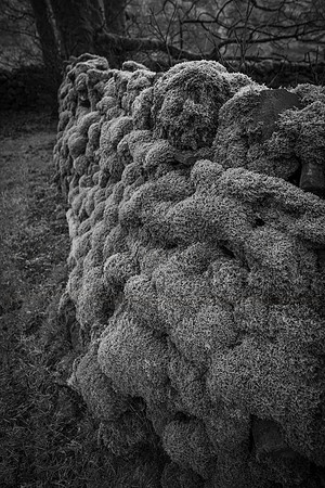BNW COWSIDE FARMHOUSE WALLS