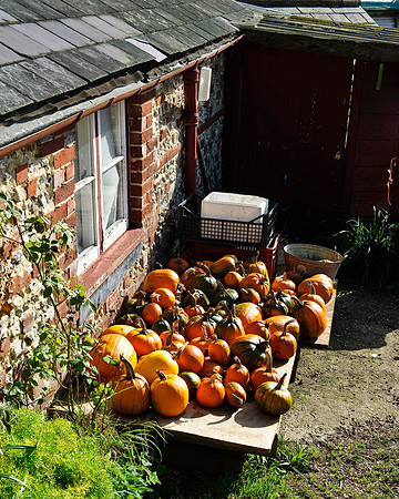 RWCS_pumpkins 2009-18