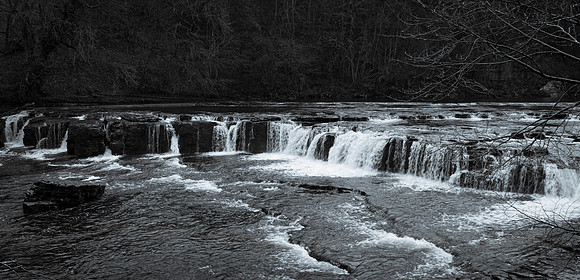 _DSC9042-Enhanced-NR