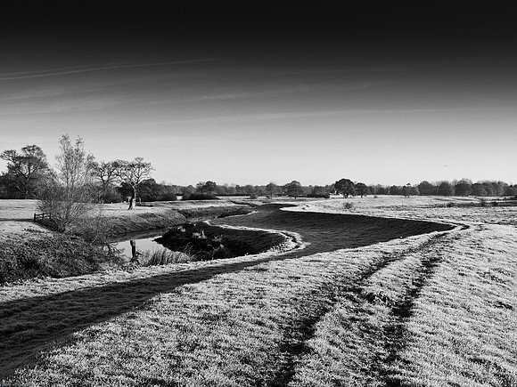 RWCS_Sussex selection -132545